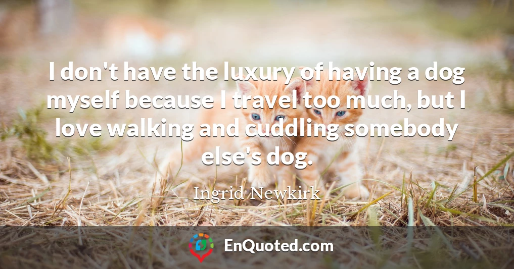 I don't have the luxury of having a dog myself because I travel too much, but I love walking and cuddling somebody else's dog.