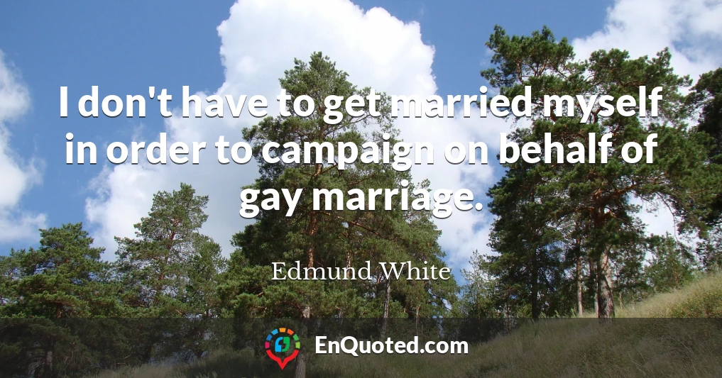 I don't have to get married myself in order to campaign on behalf of gay marriage.