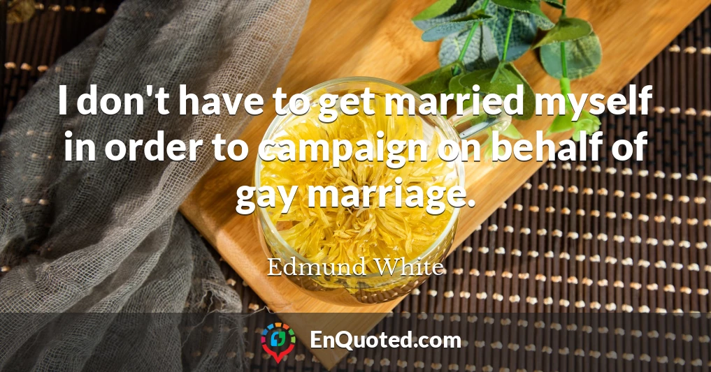 I don't have to get married myself in order to campaign on behalf of gay marriage.