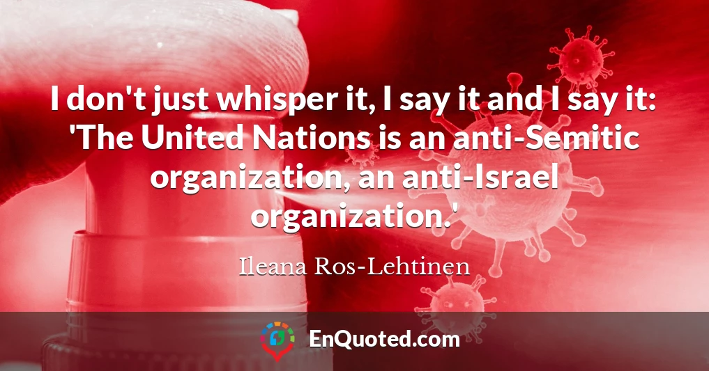 I don't just whisper it, I say it and I say it: 'The United Nations is an anti-Semitic organization, an anti-Israel organization.'
