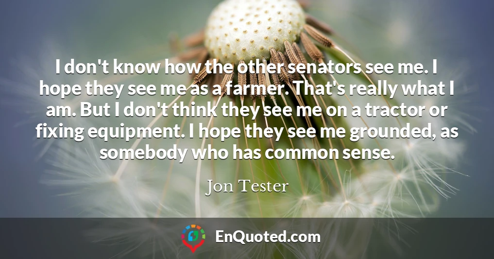 I don't know how the other senators see me. I hope they see me as a farmer. That's really what I am. But I don't think they see me on a tractor or fixing equipment. I hope they see me grounded, as somebody who has common sense.