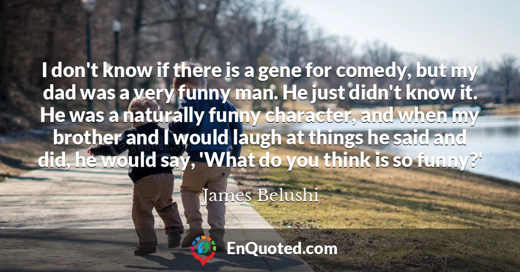 I don't know if there is a gene for comedy, but my dad was a very funny man. He just didn't know it. He was a naturally funny character, and when my brother and I would laugh at things he said and did, he would say, 'What do you think is so funny?'