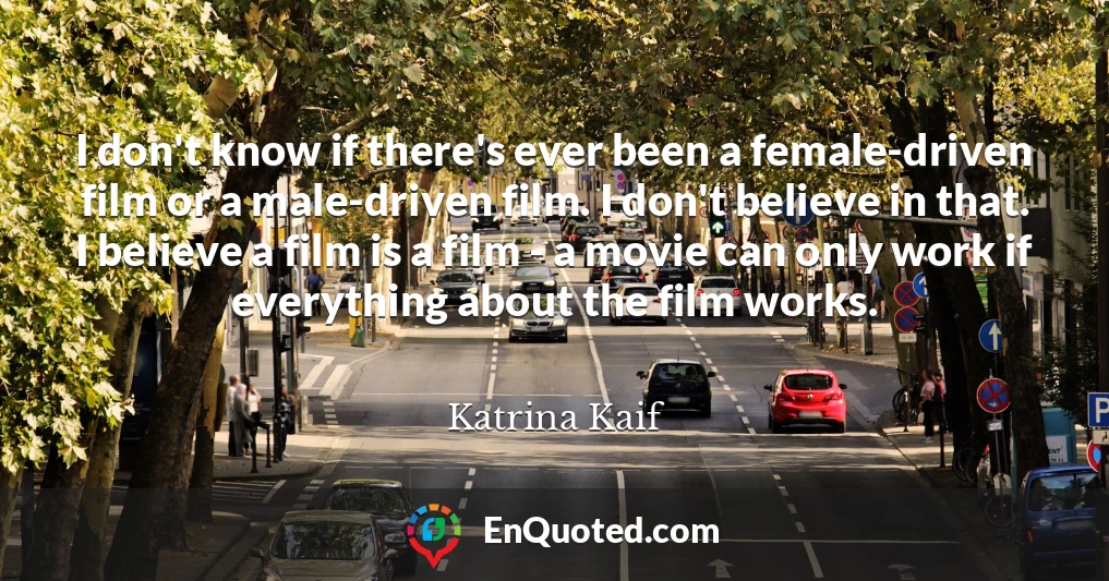 I don't know if there's ever been a female-driven film or a male-driven film. I don't believe in that. I believe a film is a film - a movie can only work if everything about the film works.
