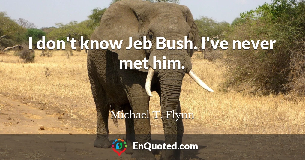 I don't know Jeb Bush. I've never met him.