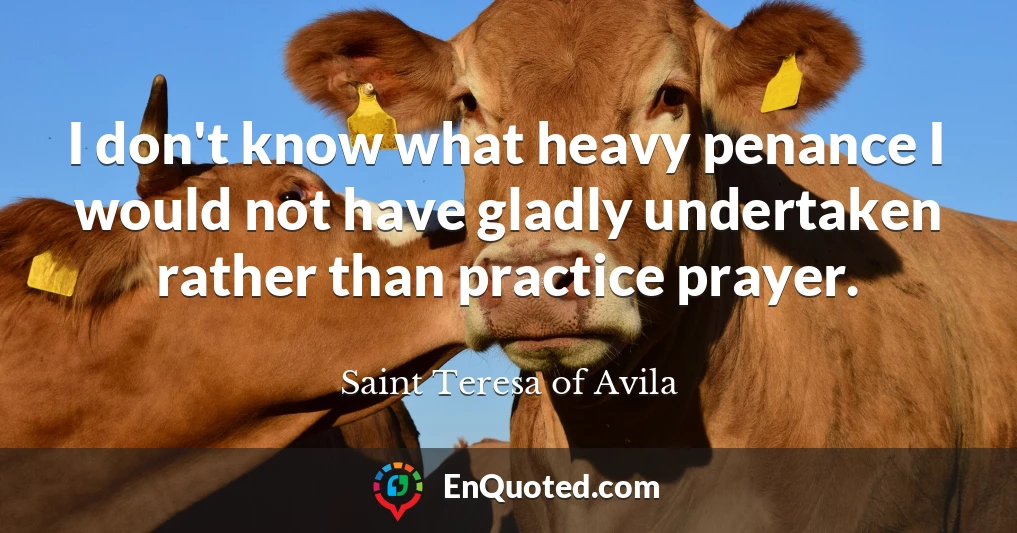 I don't know what heavy penance I would not have gladly undertaken rather than practice prayer.