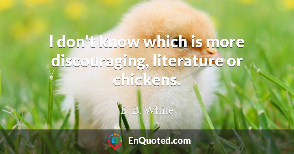 I don't know which is more discouraging, literature or chickens.