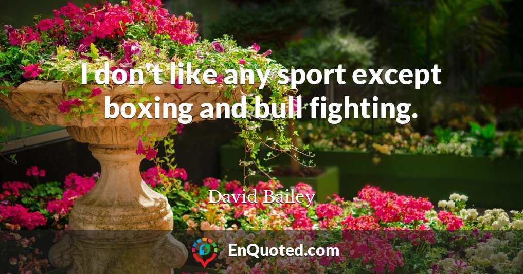 I don't like any sport except boxing and bull fighting.