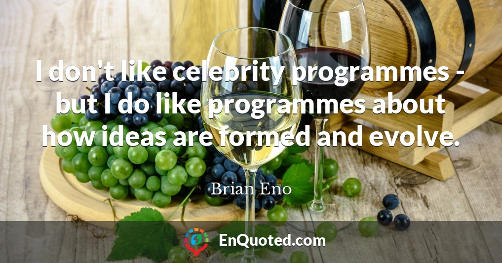 I don't like celebrity programmes - but I do like programmes about how ideas are formed and evolve.