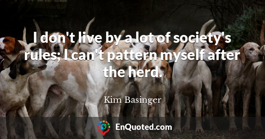 I don't live by a lot of society's rules; I can't pattern myself after the herd.