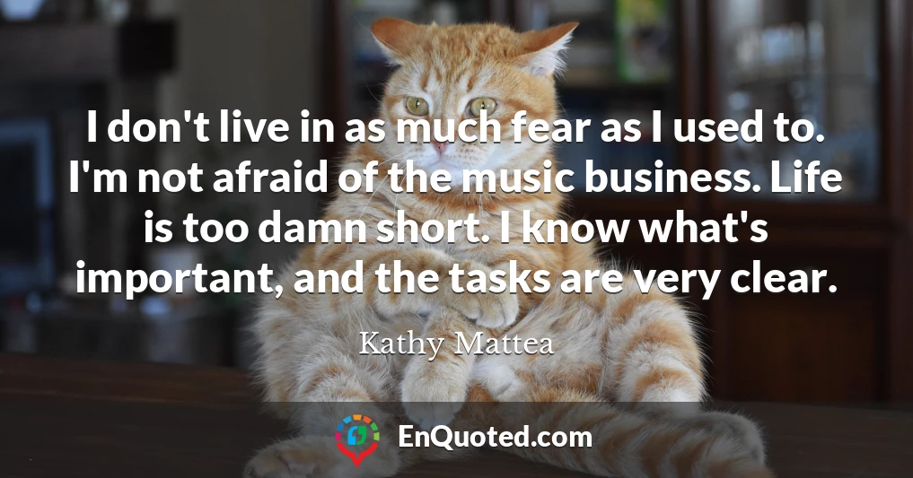 I don't live in as much fear as I used to. I'm not afraid of the music business. Life is too damn short. I know what's important, and the tasks are very clear.