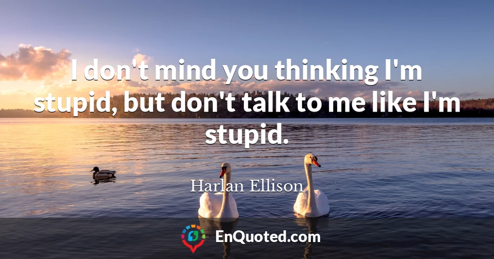 I don't mind you thinking I'm stupid, but don't talk to me like I'm stupid.