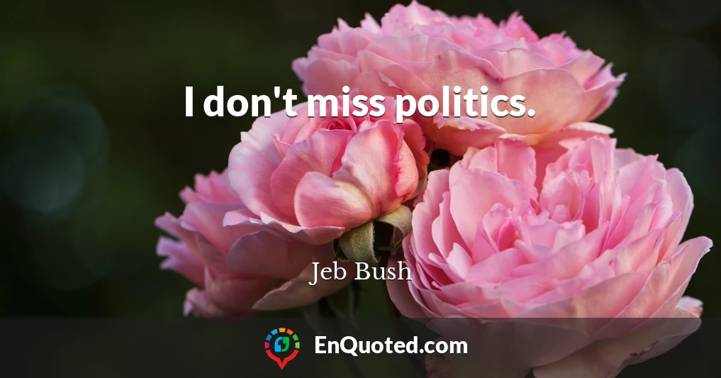 I don't miss politics.