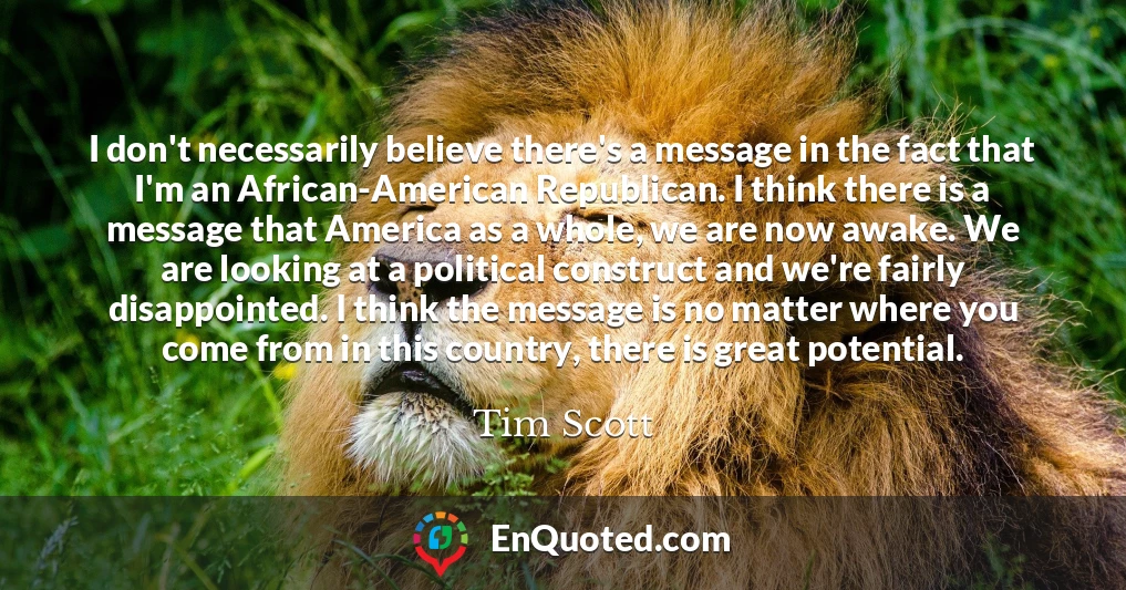 I don't necessarily believe there's a message in the fact that I'm an African-American Republican. I think there is a message that America as a whole, we are now awake. We are looking at a political construct and we're fairly disappointed. I think the message is no matter where you come from in this country, there is great potential.