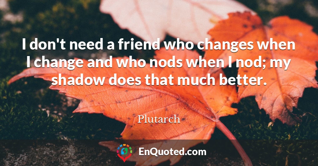 I don't need a friend who changes when I change and who nods when I nod; my shadow does that much better.