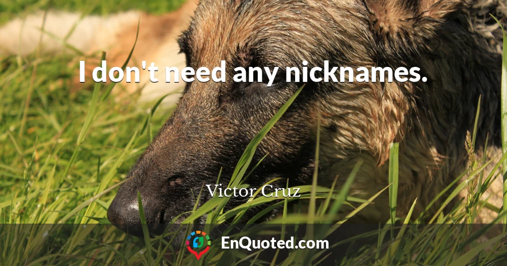 I don't need any nicknames.