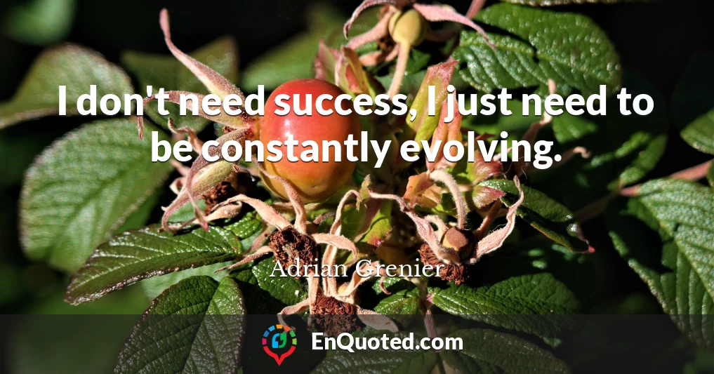 I don't need success, I just need to be constantly evolving.