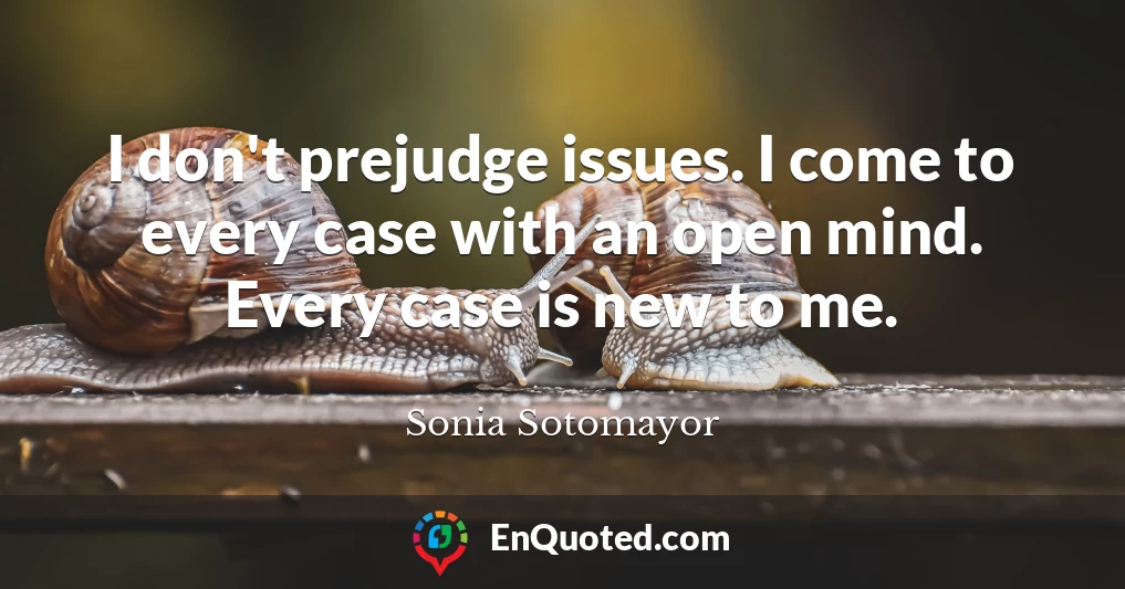 I don't prejudge issues. I come to every case with an open mind. Every case is new to me.