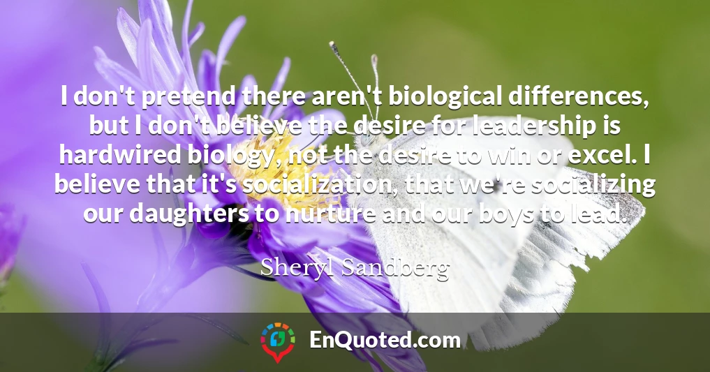 I don't pretend there aren't biological differences, but I don't believe the desire for leadership is hardwired biology, not the desire to win or excel. I believe that it's socialization, that we're socializing our daughters to nurture and our boys to lead.