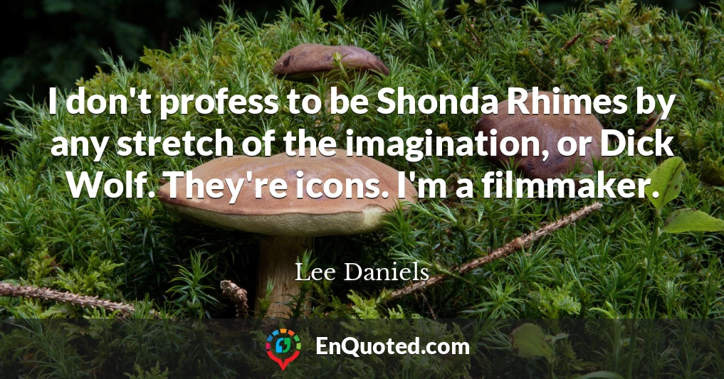 I don't profess to be Shonda Rhimes by any stretch of the imagination, or Dick Wolf. They're icons. I'm a filmmaker.