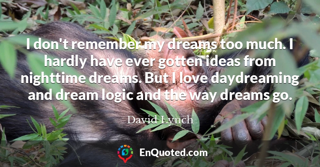 I don't remember my dreams too much. I hardly have ever gotten ideas from nighttime dreams. But I love daydreaming and dream logic and the way dreams go.