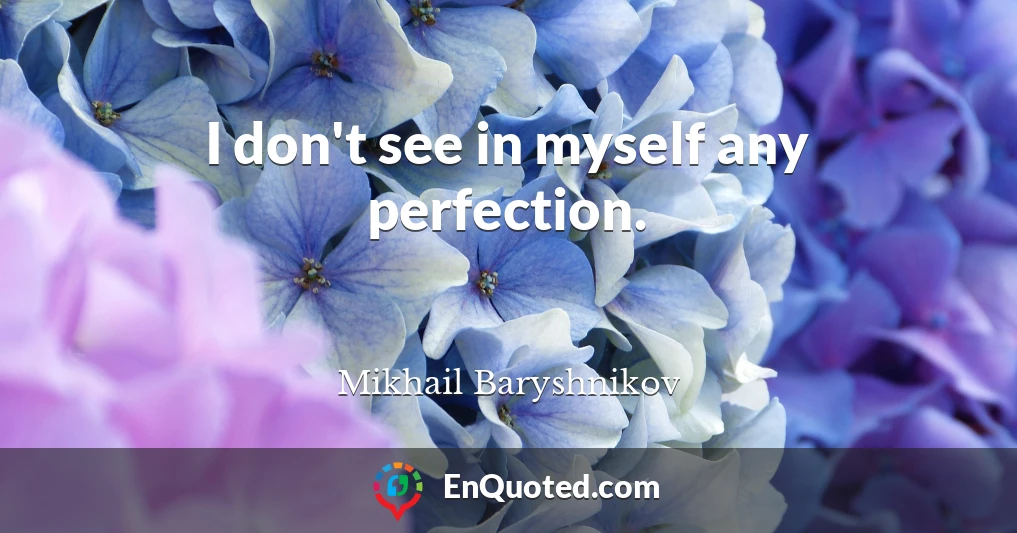 I don't see in myself any perfection.
