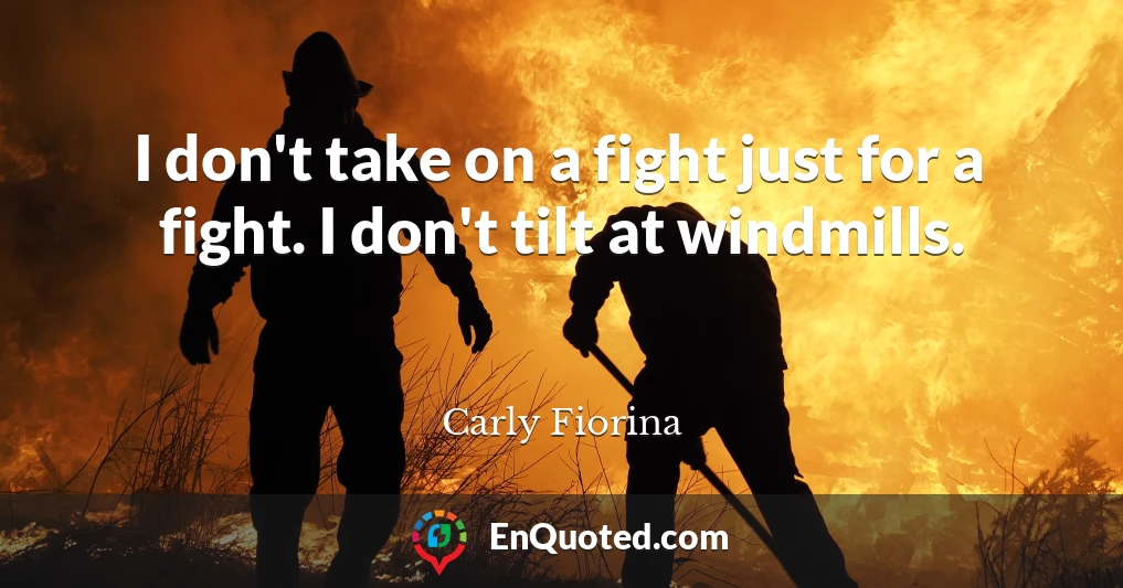 I don't take on a fight just for a fight. I don't tilt at windmills.