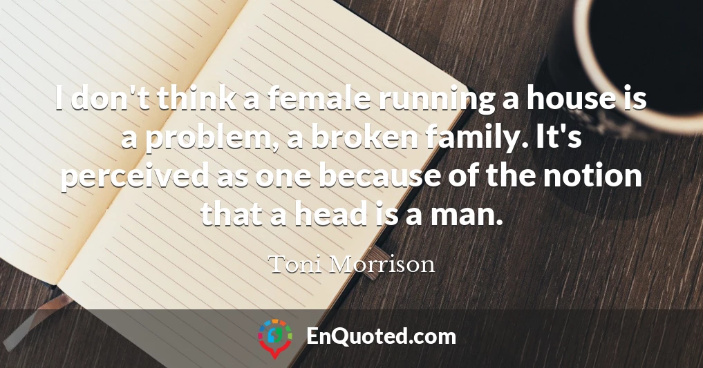 I don't think a female running a house is a problem, a broken family. It's perceived as one because of the notion that a head is a man.