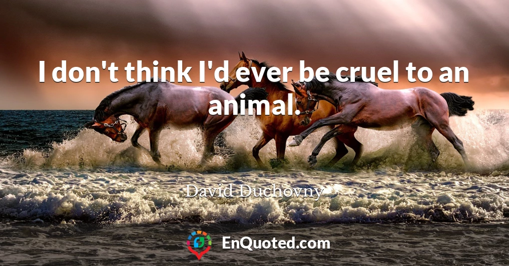 I don't think I'd ever be cruel to an animal.