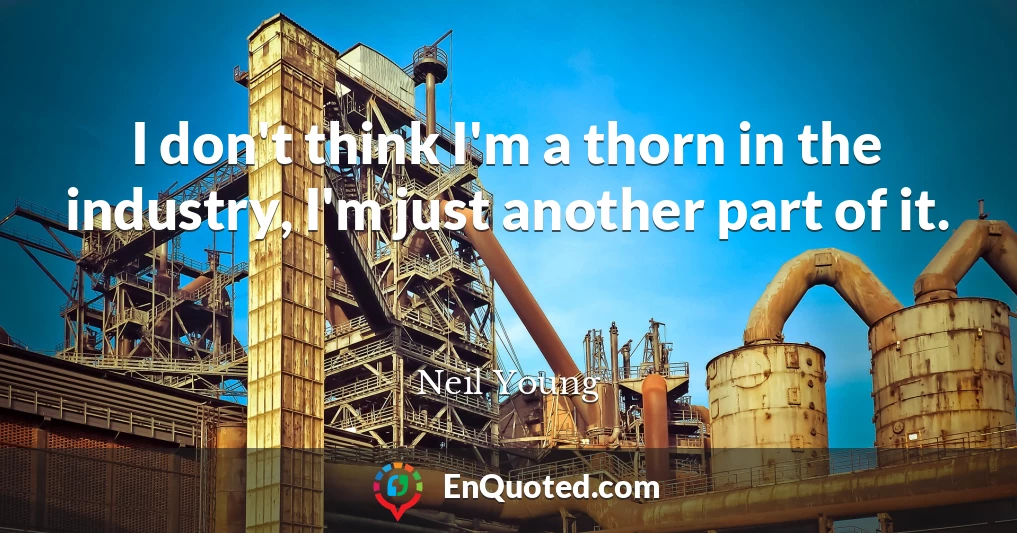 I don't think I'm a thorn in the industry, I'm just another part of it.