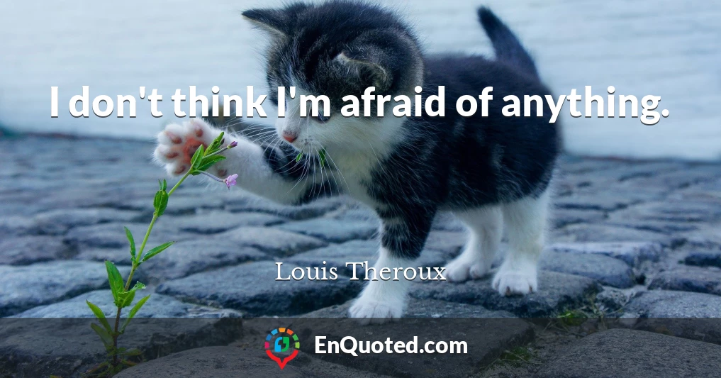 I don't think I'm afraid of anything.