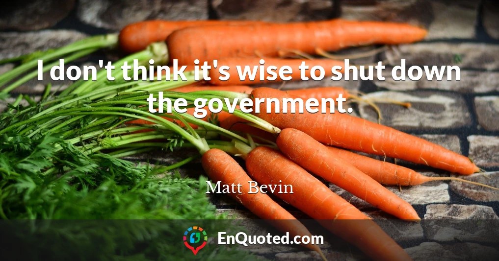 I don't think it's wise to shut down the government.
