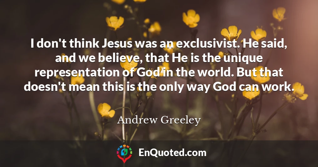 I don't think Jesus was an exclusivist. He said, and we believe, that He is the unique representation of God in the world. But that doesn't mean this is the only way God can work.