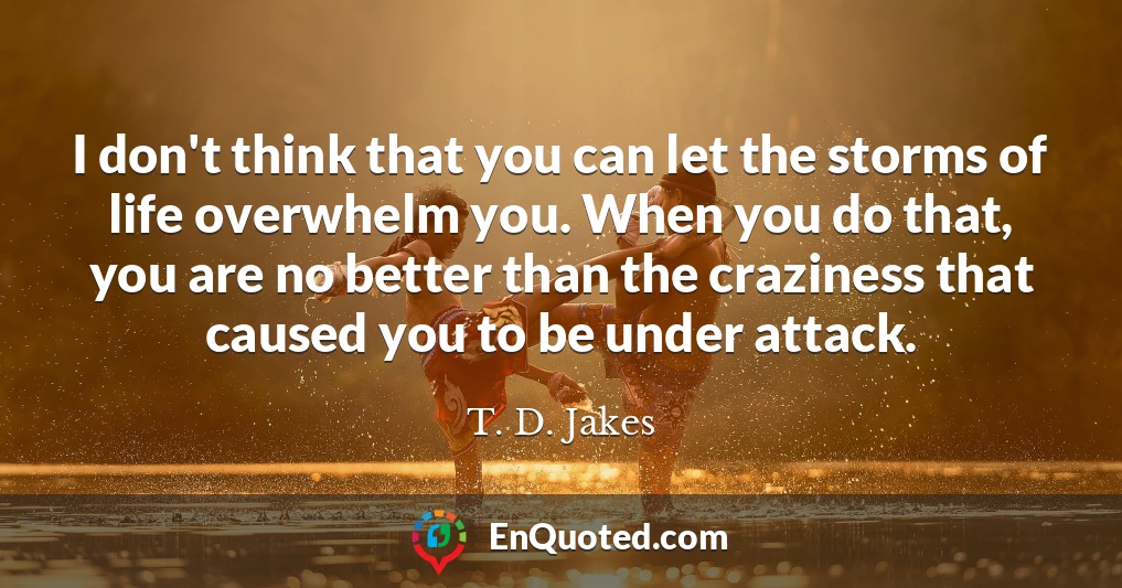 I don't think that you can let the storms of life overwhelm you. When you do that, you are no better than the craziness that caused you to be under attack.