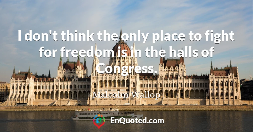 I don't think the only place to fight for freedom is in the halls of Congress.