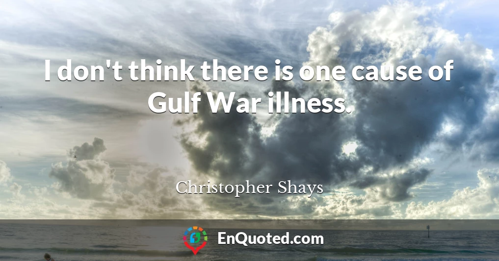 I don't think there is one cause of Gulf War illness.