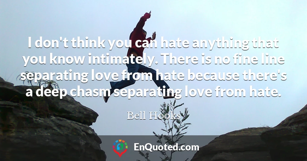 I don't think you can hate anything that you know intimately. There is no fine line separating love from hate because there's a deep chasm separating love from hate.