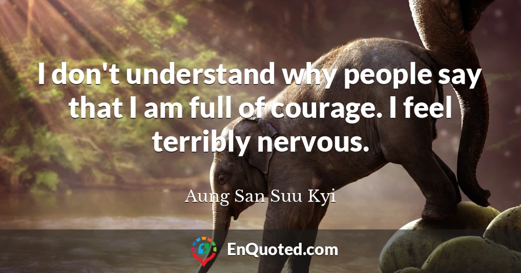I don't understand why people say that I am full of courage. I feel terribly nervous.