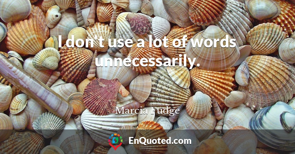 I don't use a lot of words unnecessarily.