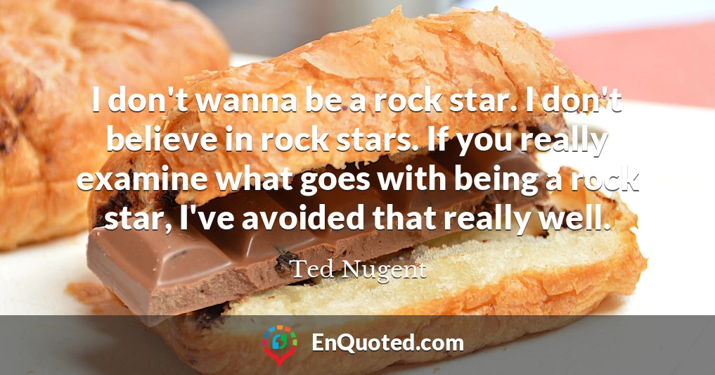 I don't wanna be a rock star. I don't believe in rock stars. If you really examine what goes with being a rock star, I've avoided that really well.