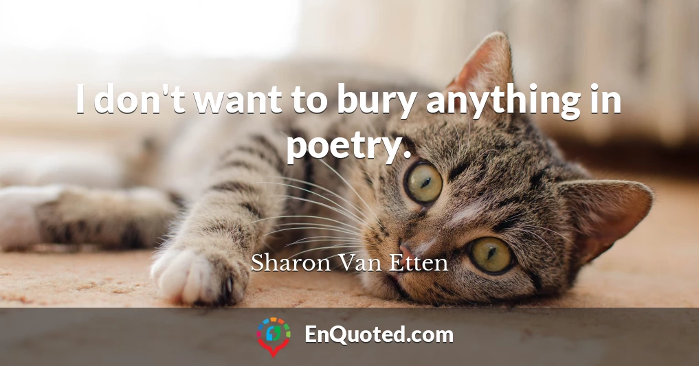 I don't want to bury anything in poetry.