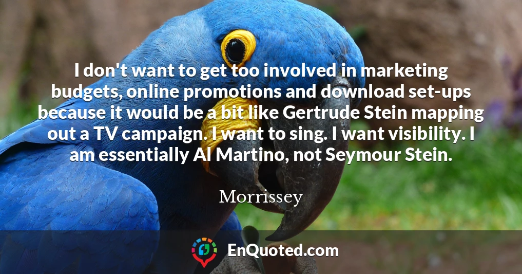I don't want to get too involved in marketing budgets, online promotions and download set-ups because it would be a bit like Gertrude Stein mapping out a TV campaign. I want to sing. I want visibility. I am essentially Al Martino, not Seymour Stein.