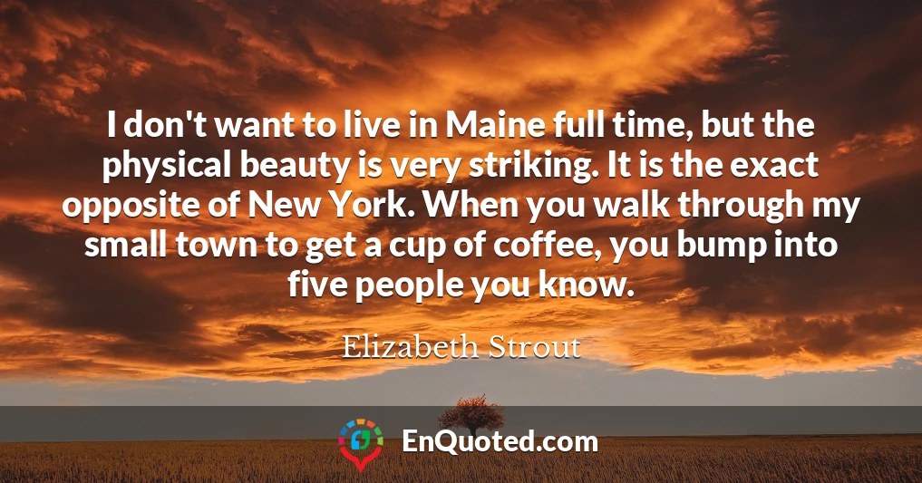 I don't want to live in Maine full time, but the physical beauty is very striking. It is the exact opposite of New York. When you walk through my small town to get a cup of coffee, you bump into five people you know.