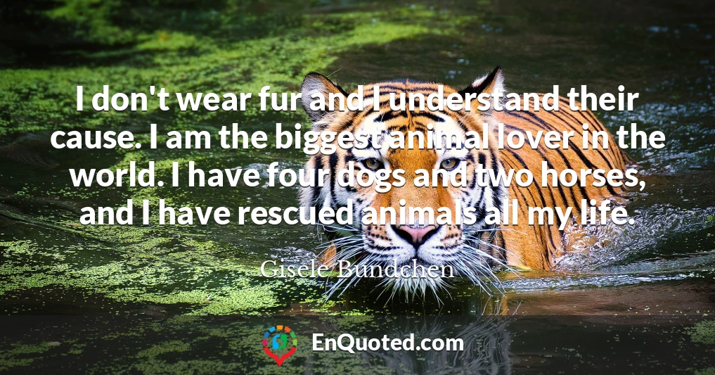 I don't wear fur and I understand their cause. I am the biggest animal lover in the world. I have four dogs and two horses, and I have rescued animals all my life.