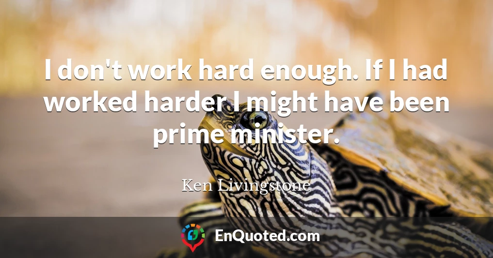 I don't work hard enough. If I had worked harder I might have been prime minister.