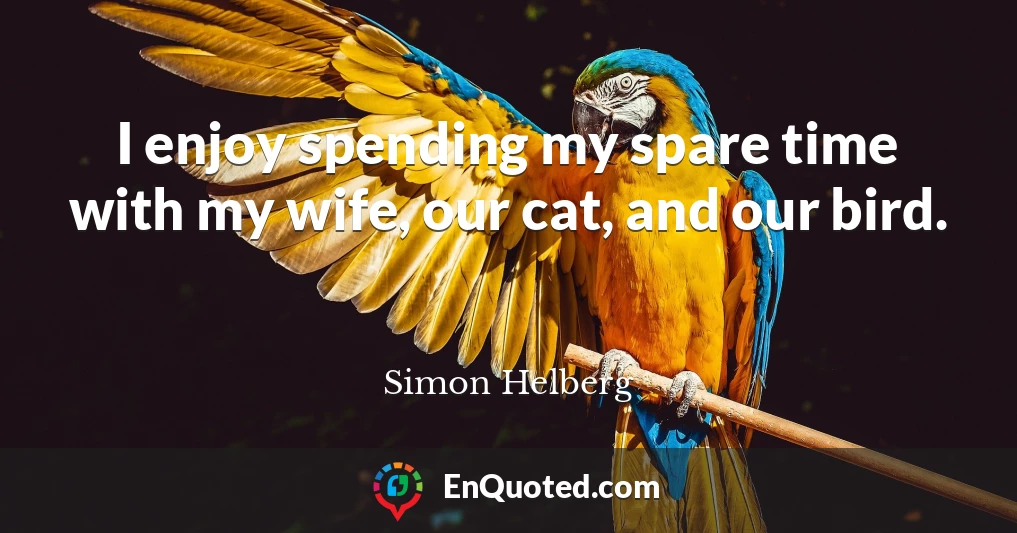 I enjoy spending my spare time with my wife, our cat, and our bird.