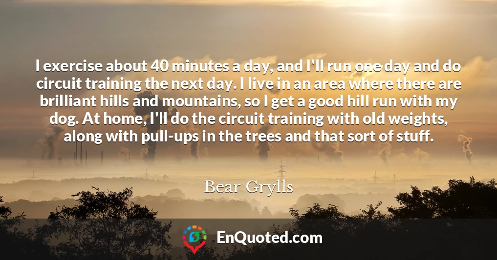 I exercise about 40 minutes a day, and I'll run one day and do circuit training the next day. I live in an area where there are brilliant hills and mountains, so I get a good hill run with my dog. At home, I'll do the circuit training with old weights, along with pull-ups in the trees and that sort of stuff.
