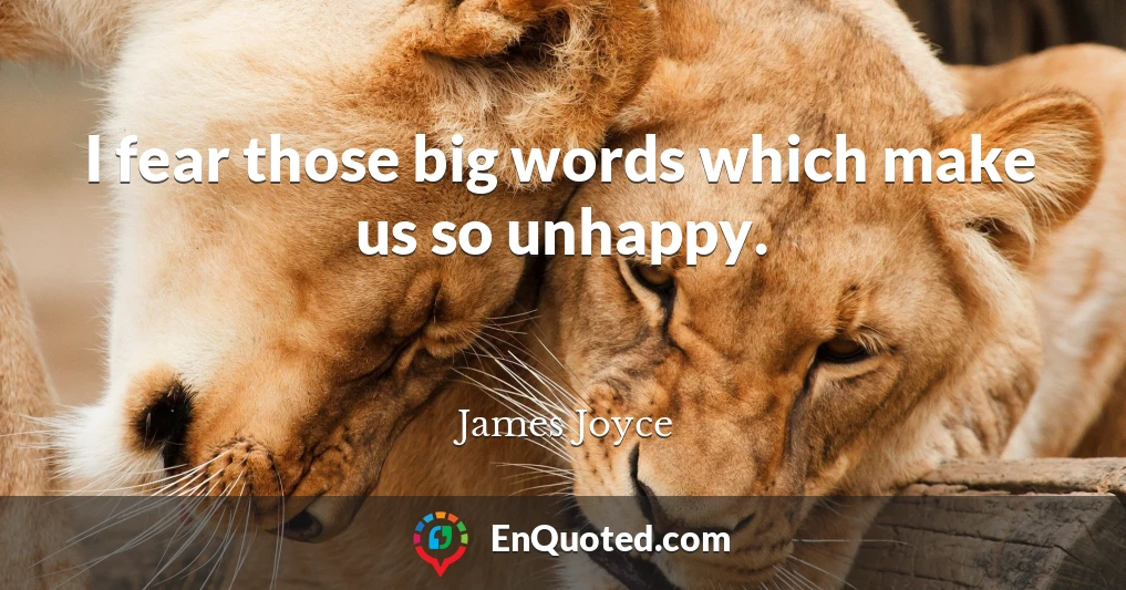 I fear those big words which make us so unhappy.