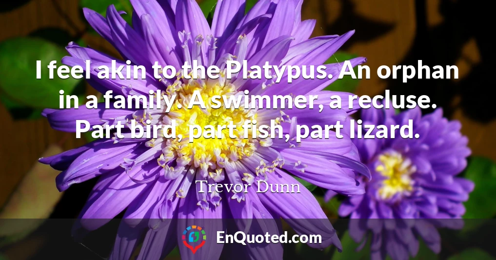 I feel akin to the Platypus. An orphan in a family. A swimmer, a recluse. Part bird, part fish, part lizard.
