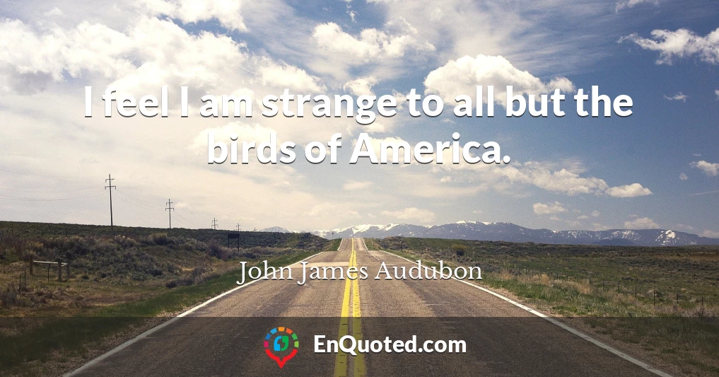 I feel I am strange to all but the birds of America.
