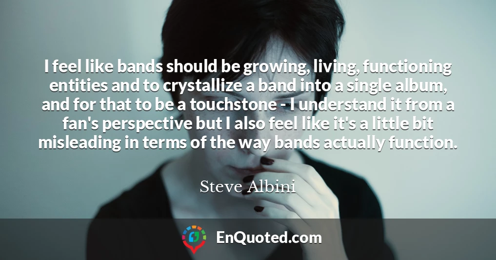 I feel like bands should be growing, living, functioning entities and to crystallize a band into a single album, and for that to be a touchstone - I understand it from a fan's perspective but I also feel like it's a little bit misleading in terms of the way bands actually function.